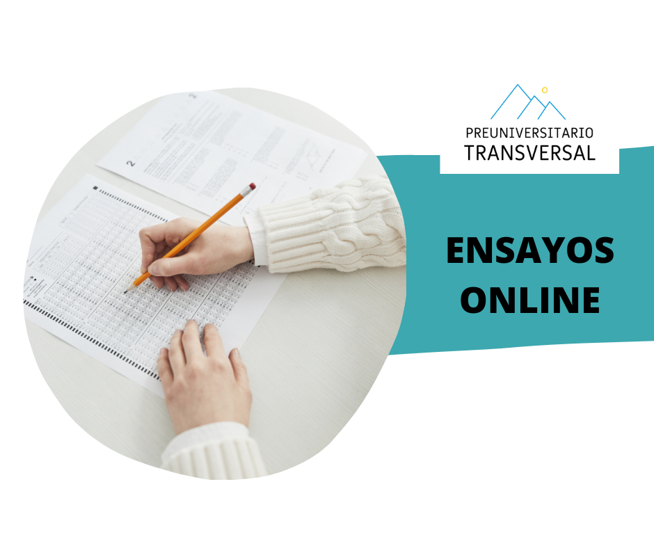 Ensayos Online
