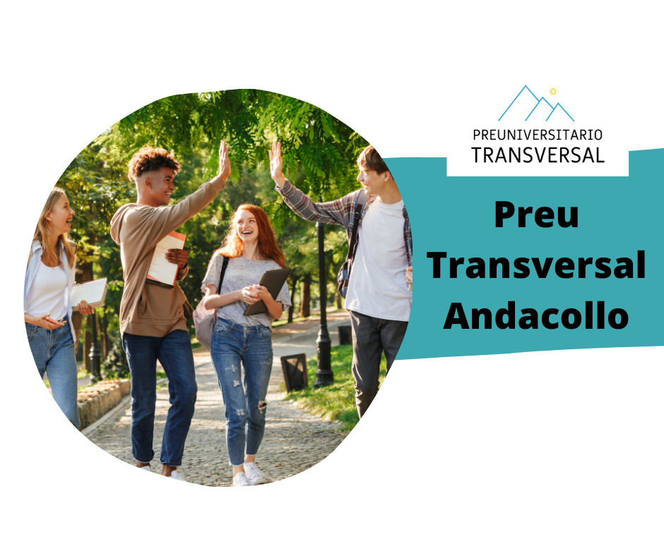 Preuniversitario Transversal Andacollo